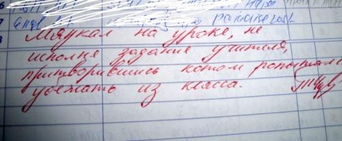 20 записей в дневниках, после которых вновь захочется вернуться в школу