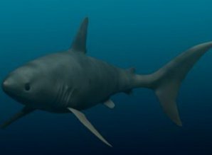 Монстры, когда-то правившие океаном