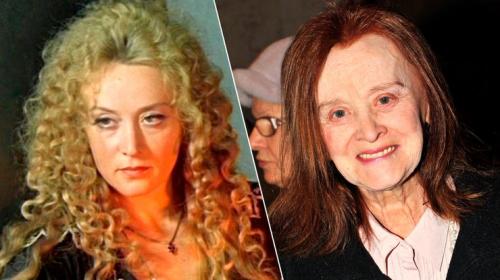 Звезды фильма "ДАртаньян и три мушкетера" тогда и сейчас