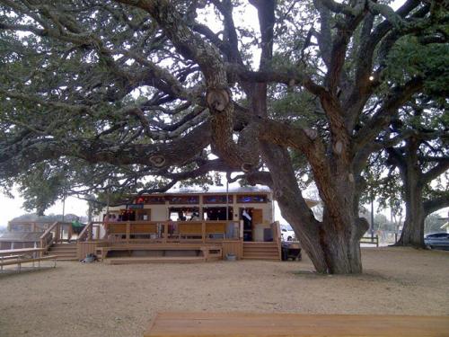 10 самых дорогих и удивительных лотов, проданных на eBay