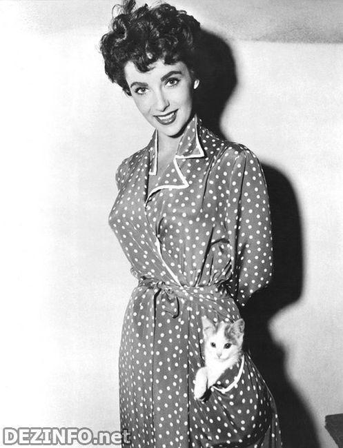 Редчайшие фотографии знаменитостей.Часть 4