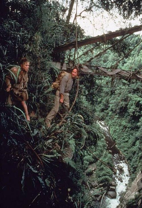 Майкл Дуглас: история одного успеха