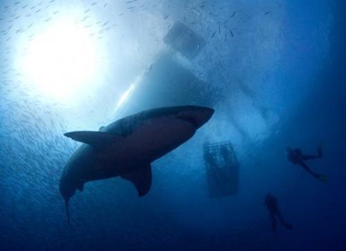 Топ-20 самых экстремальных приключений на планете