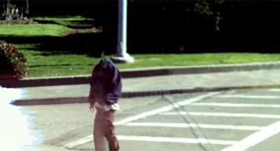 Самые странные уличные фото, снятые Google Street View