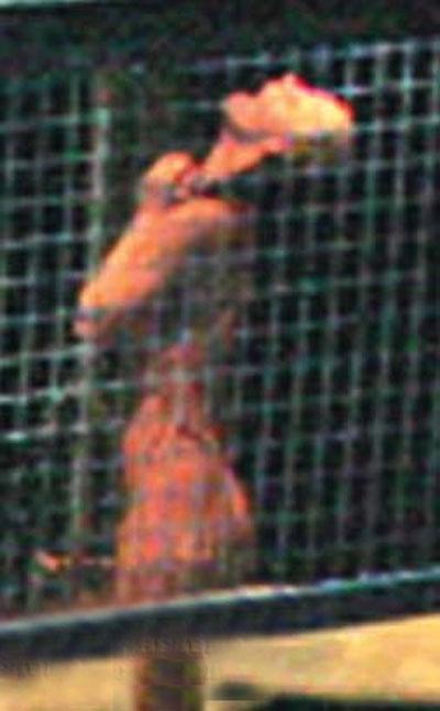 Боярский-отец раскритиковал обнажёнку дочери