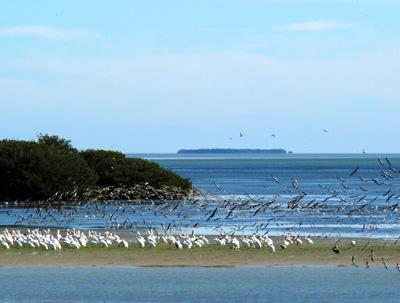 Топ-10 лучших американских пляжей