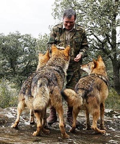 Ошеломительные истории о детях, выросших среди животных