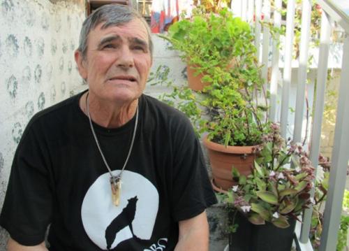 Ошеломительные истории о детях, выросших среди животных