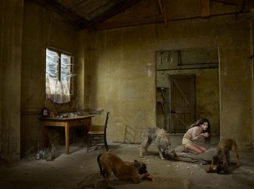 Ошеломительные истории о детях, выросших среди животных