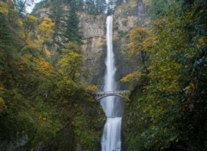 Самые красивые пешеходные мосты мира