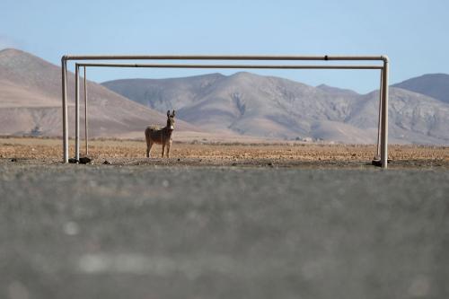 Самые необычные футбольные поля