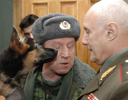 "Кадетство": последние кадры красивой сказки