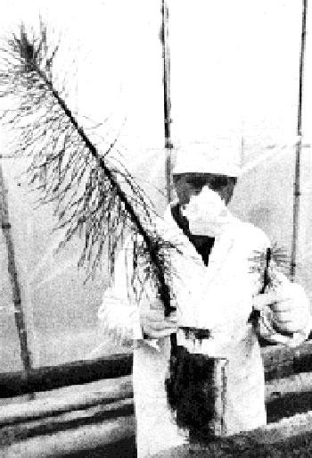 Кадры, которые потрясли мир, ЧАСТЬ II