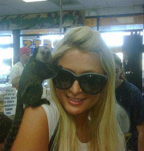 Самые отвязные фото звезд в Twitter