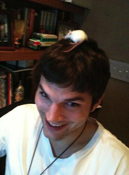 Самые отвязные фото звезд в Twitter