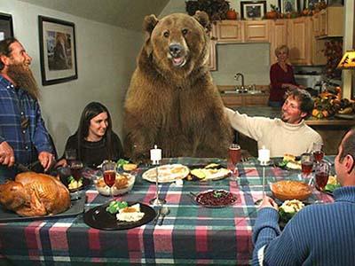 Медведь по кличке Брутус вырос среди людей. В настоящее время он успешно снимается в рекламе и веселит народ на свадьбах, а также вполне гармонично чувствует себя за столом.