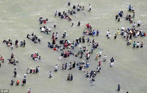 Более 80 китов погибли у берегов Новой Зеландии