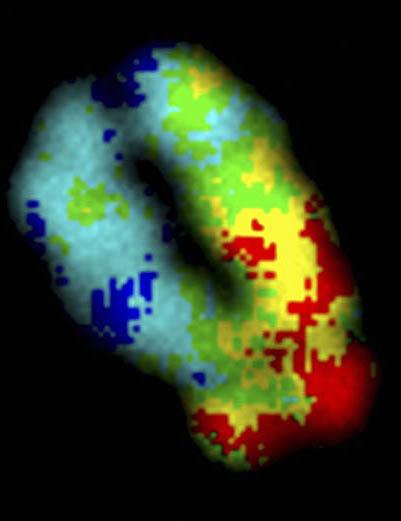 Победители фотоконкурса Wellcome Image Awards 2011