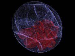 Победители фотоконкурса Wellcome Image Awards 2011