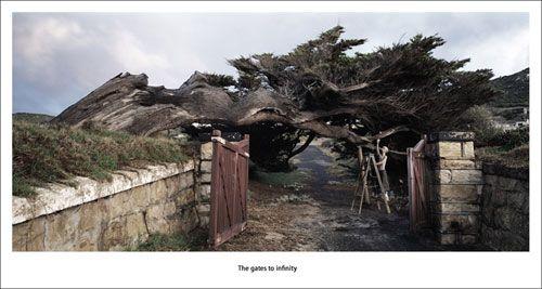 Редкая болезнь художника сделала его похожим на инопланетянина