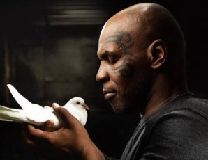 Питомцы известных людей