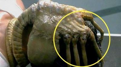 Непростительные ляпы в кино, которые вы могли не заметить