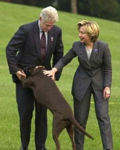 Политики тоже "отжигают"…