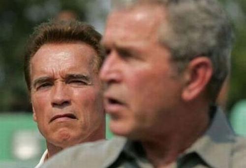 Политики тоже "отжигают"…