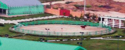 Алсу подарили яхту за  миллион