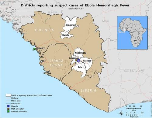 10 малоизвестных фактов про вирус Эбола