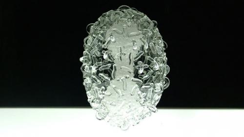 Как выглядят смертельные вирусы