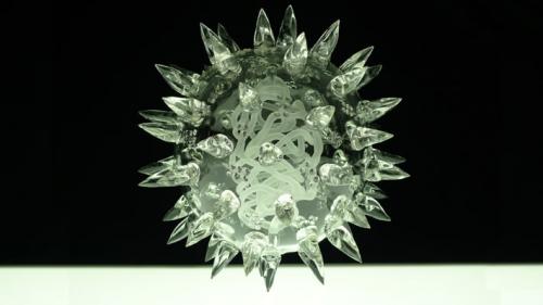 Как выглядят смертельные вирусы