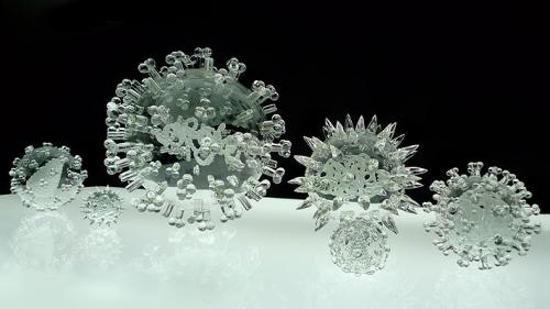 Как выглядят смертельные вирусы