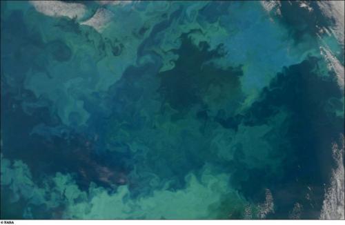 Лучшие космические фотографии