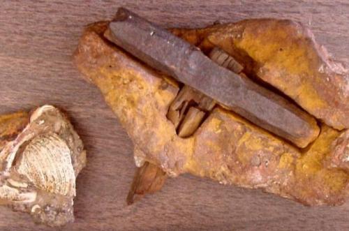 10 археологических находок, противоречащих здравому смыслу