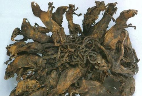 10 археологических находок, противоречащих здравому смыслу