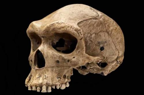 10 археологических находок, противоречащих здравому смыслу