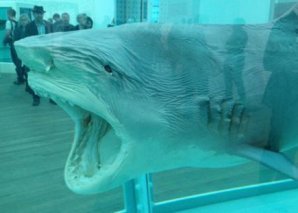 Самые странные произведения искусства