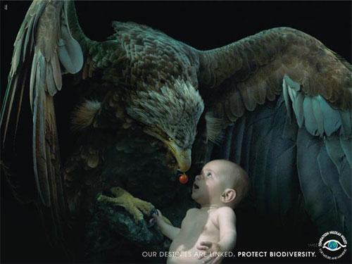 Провокационно-креативная реклама от агентства CLM BBDO