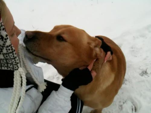 Утренние пробежки Юлии Тимошенко