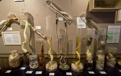 Самые странные музеи мира