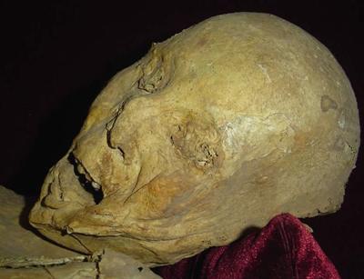 Самые странные музеи мира