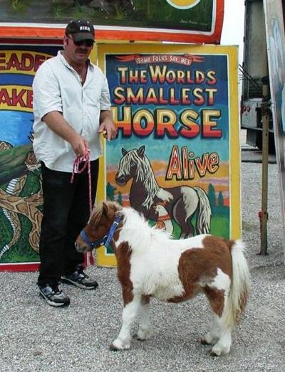 Самые странные музеи мира