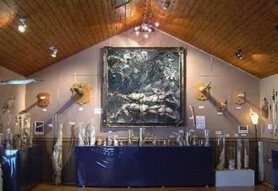 Самые странные музеи мира