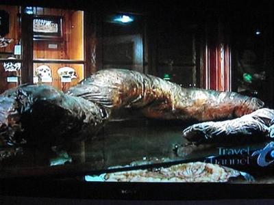 Самые странные музеи мира