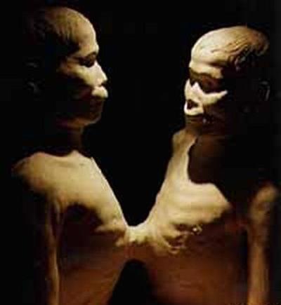 Самые странные музеи мира