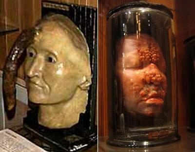 Самые странные музеи мира