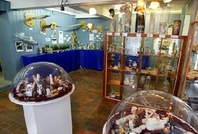 Самые странные музеи мира