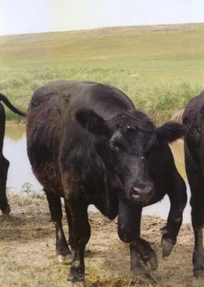 Самые странные музеи мира