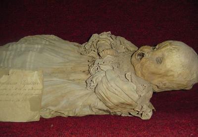 Самые странные музеи мира